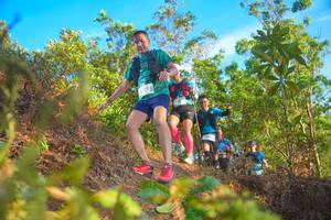 BIB: 
                            <button type="button" onclick="openModal(21842471)" class="btn btn-primary btn-sm float-right btn-popup" data-toggle="modal" data-target=".modal-high-quality">
                        <i class="fas fa-shopping-cart"></i> Add to Cart
                    </button>
                                            <button type="button" onclick="isThisMe(21842471, true)" class="btn btn-success btn-sm float-right btn-popup btn-isme hidden" data-toggle="tooltip" data-placement="bottom" title="นี่คือรูปของคุณใช่ไหม คลิกที่นี่เพื่อเอาเข้าอัลบั้ม">
                        <i class="fas fa-plus"></i> Add to album
                    </button>
                    <button type="button" onclick="isThisMe(21842471, false)" class="btn btn-warning btn-sm float-right btn-popup btn-isnotme hidden">
                        <i class="fas fa-ban"></i> Remove from album
                    </button>